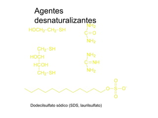 2-mercaptoetanol
Ditiotreitol (DTT)
Dodecilsulfato sódico (SDS, laurilsulfato)
Urea
Guanidina
Agentes
desnaturalizantes
 