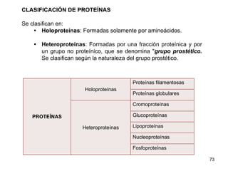CLASIFICACIÓN DE PROTEÍNAS
Se clasifican en:
• Holoproteínas: Formadas solamente por aminoácidos.
• Heteroproteínas: Formadas por una fracción proteínica y por
un grupo no proteínico, que se denomina "grupo prostético.
Se clasifican según la naturaleza del grupo prostético.
73
PROTEÍNAS
Holoproteínas
Proteínas filamentosas
Proteínas globulares
Heteroproteínas
Cromoproteínas
Glucoproteínas
Lipoproteínas
Nucleoproteínas
Fosfoproteínas
 