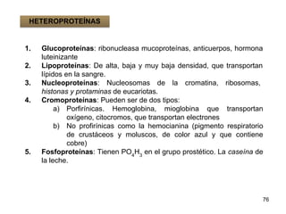 1. Glucoproteínas: ribonucleasa mucoproteínas, anticuerpos, hormona
luteinizante
2. Lipoproteínas: De alta, baja y muy baja densidad, que transportan
lípidos en la sangre.
3. Nucleoproteínas: Nucleosomas de la cromatina, ribosomas,
histonas y protaminas de eucariotas.
4. Cromoproteínas: Pueden ser de dos tipos:
a) Porfirínicas. Hemoglobina, mioglobina que transportan
oxígeno, citocromos, que transportan electrones
b) No profirínicas como la hemocianina (pigmento respiratorio
de crustáceos y moluscos, de color azul y que contiene
cobre)
5. Fosfoproteínas: Tienen PO4
H3
en el grupo prostético. La caseína de
la leche.
76
HETEROPROTEÍNAS
 