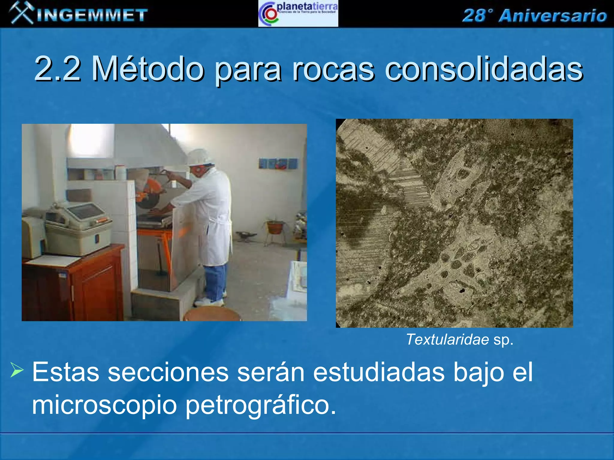 2.2 Método para rocas consolidadas




                                     Textularidae sp.

 Estassecciones serán estudiadas bajo el
 microscopio petrográfico.
 XIII CONGRESO PERUANO DE GEOLOGÍA
 