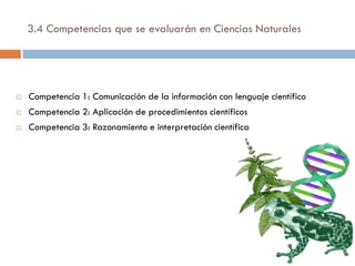 3.4 Competencias que se evaluarán en Ciencias Naturales




   Competencia 1: Comunicación de la información con lenguaje científico
   Competencia 2: Aplicación de procedimientos científicos
   Competencia 3: Razonamiento e interpretación científica
 