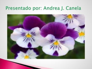 Introducción a la tecnologia