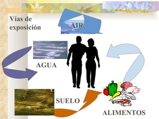 AIRE AGUA SUELO ALIMENTOS Vías de exposición 