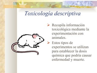 Toxicología descriptiva Recopila información toxicológica mediante la experimentación con animales. Estos tipos de experimentos se utilizan para establecer la dosis química que podría causar enfermedad y muerte. 