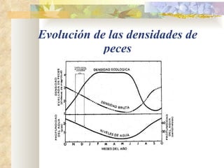 Evolución de las densidades de peces 