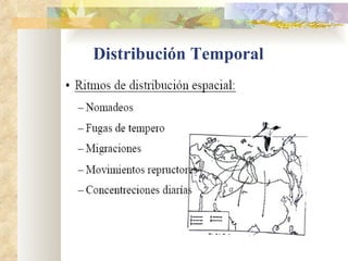 Distribución Temporal 
