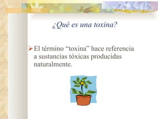 ¿Qué es una toxina? El término “toxina” hace referencia a sustancias tóxicas producidas naturalmente. 