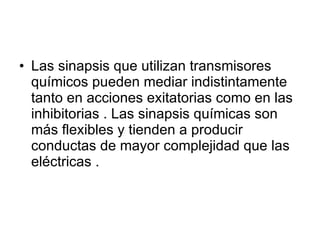Las sinapsis que utilizan transmisores químicos pueden mediar indistintamente tanto en acciones exitatorias como en las inhibitorias . Las sinapsis químicas son más flexibles y tienden a producir conductas de mayor complejidad que las eléctricas . 