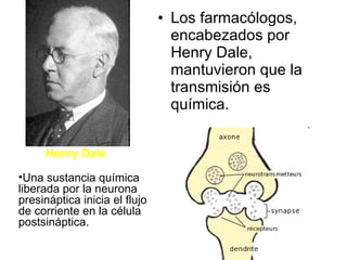 Los farmacólogos, encabezados por Henry Dale, mantuvieron que la transmisión es química. Henry Dale Una sustancia química liberada por la neurona presináptica inicia el flujo de corriente en la célula postsináptica. 