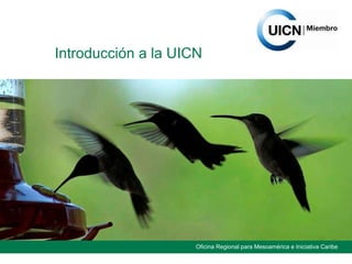 Introducción a la UICN 