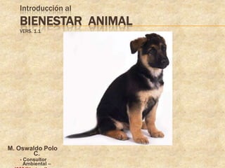 Introducción al
   BIENESTAR ANIMAL
   VERS. 1.1




M. Oswaldo Polo
       C.
   - Consultor
     Ambiental –
 