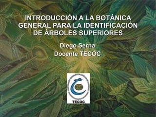 INTRODUCCIÓN A LA BOTÁNICA GENERAL PARA LA IDENTIFICACIÓN DE ÁRBOLES SUPERIORES Diego Serna Docente TECOC 