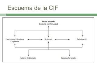 Componente Cif Introducción al cif | PPTX