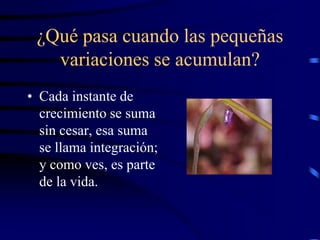 ¿Qué pasa cuando las pequeñas
   variaciones se acumulan?
• Cada instante de
  crecimiento se suma
  sin cesar, esa suma
  se llama integración;
  y como ves, es parte
  de la vida.
 