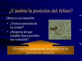 ¿Cambia la posición del felino?
Observa con atención:
• ¿Varía la posición de
  su cuerpo?
• ¿Respecto de que
  variable física percibes
  esa variación?

    El tiempo es fundamental en muchos de los
              procesos de variación.
 