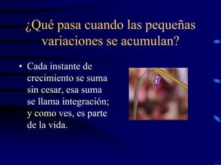 ¿Qué pasa cuando las pequeñas
variaciones se acumulan?
• Cada instante de
crecimiento se suma
sin cesar, esa suma
se llama integración;
y como ves, es parte
de la vida.
 