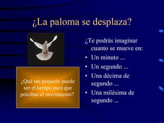 ¿La paloma se desplaza?
¿Te podrás imaginar
cuanto se mueve en:
• Un minuto ...
• Un segundo ...
• Una décima de
segundo ...
• Una milésima de
segundo ...
¿Qué tan pequeño puede
ser el tiempo para que
percibas el movimiento?
 