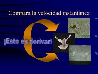 Compara la velocidad instantánea
 