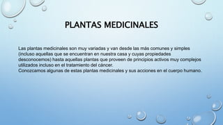 PLANTAS MEDICINALES
Las plantas medicinales son muy variadas y van desde las más comunes y simples
(incluso aquellas que se encuentran en nuestra casa y cuyas propiedades
desconocemos) hasta aquellas plantas que proveen de principios activos muy complejos
utilizados incluso en el tratamiento del cáncer.
Conozcamos algunas de estas plantas medicinales y sus acciones en el cuerpo humano.
 