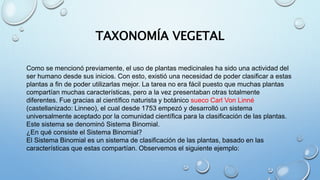 TAXONOMÍA VEGETAL
Como se mencionó previamente, el uso de plantas medicinales ha sido una actividad del
ser humano desde sus inicios. Con esto, existió una necesidad de poder clasificar a estas
plantas a fin de poder utilizarlas mejor. La tarea no era fácil puesto que muchas plantas
compartían muchas características, pero a la vez presentaban otras totalmente
diferentes. Fue gracias al científico naturista y botánico sueco Carl Von Linné
(castellanizado: Linneo), el cual desde 1753 empezó y desarrolló un sistema
universalmente aceptado por la comunidad científica para la clasificación de las plantas.
Este sistema se denominó Sistema Binomial.
¿En qué consiste el Sistema Binomial?
El Sistema Binomial es un sistema de clasificación de las plantas, basado en las
características que estas compartían. Observemos el siguiente ejemplo:
 