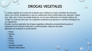 DROGAS VEGETALES
La droga vegetal es la parte de la planta que contiene la mayor cantidad de principio
activo con acción terapéutica y que es usada para fines medicinales (por ejemplo: Hojas,
raíz, tallo, etc). Como se puede observar, es un poco diferente al concepto clásico de
“droga” el cual nos dice que “es cualquier sustancia que genera un cambio fisiológico en
un organismo”.
Existen muchos ejemplos de drogas vegetales utilizadas ancestralmente para el
tratamiento de diversos síntomas y enfermedades. Algunos de estos
ejemplos se muestran a continuación:
Hojas
Raices
Tallo
Bulbo
Flores
Frutos
Semillas (aceite)
Pétalos desecados
 
