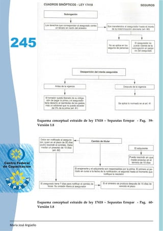 María José Argüello
245
Esquema conceptual extraído de ley 17418 – Separatas Errepar - Pag. 59-
Versión 1.8
Esquema conceptual extraído de ley 17418 – Separatas Errepar - Pag. 60-
Versión 1.8
 