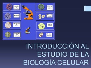 INTRODUCCIÓN AL
ESTUDIO DE LA
BIOLOGÍA CELULAR

 