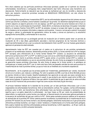 Pero ahora sabemos que las partículas proteínicas infecciosas (priones), pueden ser el sustrato de diversas
enfermedades, hereditarias o contagiosas. Este comportamiento dual tanto infeccioso como hereditario era
desconocido. Posteriormente se descubrió que los priones se multiplican por una vía increíble y desconocida
hasta ese momento: convierten proteínas normales en MOLECULAS INFECCIOSAS, con solo alterar la
estructura proteica.

Las encefalopatías espongiformes transmisibles (EET), son las enfermedades degenerativas del sistema nervioso
central que afectan a animales y seres humanos causadas por los priones. Se denominan espongiformes ya que el
cerebro adquiere un aspecto parecido al de una esponja. Las EET que sufren los seres humanos son el Kuru (o
muerte de la risa), la enfermedad de Creutzfeldt -Jakob (ECJ), el síndrome de Gerstman-Straussler-Scheinker
(GSS) y el insomnio Familiar Fatal (IFF); las EET de animales, incluyen el scrapie (del ingles to scrape, raspar,
por la tendencia de los animales infectados a rasparse contra postes , troncos o cercas para combatir la picazón)
de ovejas y cabras, la enfermedad de agotamiento crónico de mulas y ciervos en cautiverio y la encefalitis
espongiforme bovina (EEB), o enfermedad de la vaca loca.

Las EET se caracterizan por su prolongado periodo de incubación (en el hombre puede tener un periodo de
incubación de 30 o mas años), generalmente asociadas a declives progresivos de las funciones motoras y
cognitivas (enfermedad activa), y por su evolución inevitablemente fatal. Las EET en el ser humano generalmente
aparecen en personas de edad avanzada.

Aparentemente todas las EET son causadas por el cambio en la estructura de una proteína normalmente
presente en las membranas celulares, denominada proteína priónica (PrP). La forma anormal de la PrP se designa
PrPsc (scrapie), para diferenciarla de la forma normal llamada PrP c (celular). La secuencia de aminoácidos
(estructura primaria) de la PrPc y la PrPsc es idéntica lo que varia es su conformación (plegamiento en el espacio).
De acuerdo a esta teoría la proteína alterada (PrP sc), puede unirse a la proteína normal (PrPc) y cambiar su
conformación, transformándola a su vez en una proteína alterada. De esta forma se propagaría la enfermedad y
se generarían nuevas proteínas infecciosas. De esta forma el pasaje de la forma normal a la patológica es
catalizada por el mismo prión (PrPsc), por lo tanto solo hace falta una pequeña cantidad de este para provocar la
transformación de toda la proteína normal, ya que se trata de un fenómeno de crecimiento exponencial.

Recientemente , se ha aceptado que los priones pueden ser transmitidos, posiblemente por comida, inoculación
directa en el cerebro, piel, músculo o estómago. Por esto la epidemia de EEB, ocurrida en Gran Bretaña provoco
un enorme interés en todo el mundo. Desafortunadamente han aparecido en ese país una nueva variedad de la
ECJ (casos en personas mucho mas jóvenes que lo usual), lo que probaría una relación causal entre la EEB y los
casos seres humanos. El gobierno británico tuvo que admitir la posibilidad de que la aparición de estos extraños
casos de la ECJ hubieran sido provocados al ingerirse carne vacuna infectada (tejido nervioso).

Al principio habíamos hablado de la dualidad de los priones, por un lado partículas infecciosas y por el otro
responsables de enfermedades hereditarias. Esto es naturalmente confuso. Por ejemplo, ciertas enfermedades
priónicas como la GSS, son hereditarias. Esta enfermedad tiene una herencia autosomal y dominante, lo cual
significa que si un padre desarrolla la enfermedad , los hijos tienen un 50 por ciento de probabilidades de
desarrollarla. La explicación a estos hechos vino dado por el descubrimiento de mutaciones génicas puntuales en
la secuencia de nucleótidos del gen que codifica la PrP . Estos genes mutados provocan cambios en la secuencia
de aminoácidos de la proteína PrP. Estos cambios podrían incrementar la probabilidad de la transformación de la
proteína PrP mutante de una forma normal a una anormal patógena. Diferentes mutaciones en el gen provocarían
diferentes proteínas mutantes, con mayor o menor tendencia a transformarse en la forma aberrante patógena.
Esto explica también las distintas enfermedades priónicas hereditarias, la ECJ esporádica , un 15 por ciento de
los casos hereditaria y la GSS autosomal dominante.
 