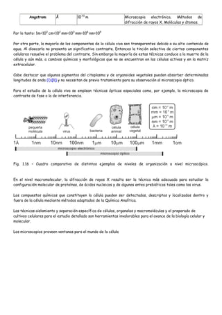 Angstrom        Å           10-10 m                      Microscopia    electrónica.   Métodos    de
                                                                  difracción de rayos X. Moléculas y átomos.

Por lo tanto: 1m=102 cm=102 mm=103 mm=106 nm=109

Por otra parte, la mayoría de los componentes de la célula viva son transparentes debido a su alto contenido de
agua. Al disecarla no presenta un significativo contraste. Entonces la tinción selectiva de ciertos componentes
celulares resuelve el problema del contraste. Sin embargo la mayoría de estas técnicas conduce a la muerte de la
célula y aún más, a cambios químicos y morfológicos que no se encuentran en las células activas y en la matriz
extracelular.

Cabe destacar que algunos pigmentos del citoplasma y de organoides vegetales pueden absorber determinadas
longitudes de onda (l) [1] y no necesitan de previo tratamiento para su observación al microscopio óptico.

Para el estudio de la célula viva se emplean técnicas ópticas especiales como, por ejemplo, la microscopia de
contraste de fase o la de interferencia.




Fig. 1.16 – Cuadro comparativo de distintos ejemplos de niveles de organización a nivel microscópico.



En el nivel macromolecular, la difracción de rayos X resulta ser la técnica más adecuada para estudiar la
configuración molecular de proteínas, de ácidos nucleicos y de algunos entes prebióticos tales como los virus.

Los compuestos químicos que constituyen la célula pueden ser detectados, descriptos y localizados dentro y
fuera de la célula mediante métodos adaptados de la Química Analítica.

Las técnicas aislamiento y separación específica de células, organelas y macromoléculas y el preparado de
cultivos celulares para el estudio detallado son herramientas invalorables para el avance de la biología celular y
molecular.

Los microscopios proveen ventanas para el mundo de la célula
 