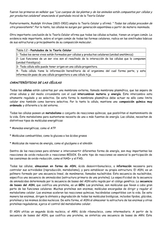 fueron los primeros en señalar que "Los cuerpos de las plantas y de los animales están compuestos por células y
por productos celulares" enunciando el postulado inicial de la Teoría Celular

Posteriormente, Rudolph Virchow (1821-1902) amplio la Teoría Celular y afirmó: " Todas las células proceden de
otra preexistente". Por lo tanto, las células no surgen por generación espontánea a partir de materia inanimada.

Otra importante conclusión de la Teoría Celular afirma que todas las células actuales, tienen un origen común. La
evidencia más importante, sobre el origen común de todas las formas celulares, radica en las similitudes básicas
de sus estructuras y principalmente de su composición molecular.

     Tabla 1.2 – Postulados de la Teoría Celular
     1- Todos los seres vivos están formados por células y productos celulares (unidad anatómica)
     2- Las funciones de un ser vivo son el resultado de la interacción de las células que lo componen
     (unidad fisiológica)
     3- Toda célula sólo puede tener origen en una célula progenitora.
     4- Toda célula tiene la información hereditaria de el organismo del cual forma parte, y esta
     información pasa de una célula progenitora a una célula hija.

CARACTERÍSTICAS DE LAS CÉLULAS

Todas las células están cubiertas por una membrana externa, llamada membrana plasmática, que las separa de
otras células y del medio circundante con el cual intercambian materia y energía. Este intercambio esta
altamente regulado y es selectivo. De esta forma la membrana plasmática debe actuar no sólo como limite
celular sino también como barrera selectiva. Por lo tanto la célula, mantiene una composición química muy
ordenada y diferente a la del entorno.

Todas las células poseen un metabolismo o conjunto de reacciones químicas, que posibilitan el mantenimiento de
la vida. Este metabolismo para sustentarse necesita de una o más fuentes de energía. Las células, necesitan de
distintivos tipos de moléculas energéticas:

* Monedas energéticas, como el ATP

* Moléculas combustibles, como la glucosa o los ácidos grasos

* Moléculas de reserva de energía, como el glucógeno o el almidón

Dentro de las reacciones para obtener e interconvertir diferentes forma de energía, son muy importantes las
reacciones de oxido-reducción o reacciones REDOX. En este tipo de reacciones es esencial la participación de
las coenzimas de oxido-reducción, como el NAD+ y el FAD.

Todas las células, almacenan en forma de ADN, ácido desoxirribonucleico, a información necesaria para
controlar sus actividades (reproducción, metabolismo), y para establecer su propia estructura. El ADN, es un
polímero formado por una secuencia lineal, de monómeros, llamados nucleótidos. Esta secuencia de nucleótidos,
especifica una secuencia de aminoácidos (estructura primaria de una proteína). La especificidad de la secuencia
de aminoácidos determinada por la secuencia de bases del ADN esta regida por el código genético. La secuencia
de bases del ADN, que codifica una proteína, es un GEN. Las proteínas, son moléculas que llevan a cabo gran
parte de las funciones celulares. Muchas proteínas son enzimas, moléculas encargadas de dirigir y regular el
metabolismo celular. Las enzimas aceleran las reacciones químicas, haciéndolas compatibles con la vida. De esta
manera las enzimas, dirigen la síntesis y degradación de todas las moléculas biológicas, incluidos lípidos, glúcidos,
proteínas y los mismos ácidos nucleicos. De esta forma, el ADN al almacenar la estructura de las enzimas y otras
proteínas reguladoras, ejerce el control del metabolismo celular.

El ADN utiliza un segundo ácido nucleico, el ARN, ácido ribonucleico, como intermediario. A partir de la
secuencia de bases del ADN, que codifica una proteína, se sintetiza una secuencia de bases de ARN. Este
 