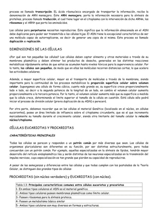proceso es llamado transcripción. EL ácido ribonucleico encargado de transportar la información, recibe la
denominación de ARN mensajero. Este ARN mensajero, porta la información necesaria para la síntesis de
proteínas, proceso llamado traducción, el cual tiene lugar en el citoplasma con la intervención de dicho ARNm, los
ribosomas y el ARNt que porta los aminoácidos.

Las células para perpetuarse necesitan reproducirse. Esto significa que la información almacenada en el ADN
debe duplicarse para poder ser transmitida a las células hijas. El ADN tiene la excepcional característica de ser
una molécula capaz de autorreplicarse, es decir de generar una copia de si misma. Este proceso es llamado
duplicación o replicación.


DIMENSIONES DE LAS CÉLULAS

¿Por qué son tan pequeñas las células? Las células deben captar alimento y otros materiales a través de su
membrana plasmática y deben eliminar los productos de desecho, generados en las distintas reacciones
metabólicas rápidamente antes de que estos se acumulen hasta niveles tóxicos para la supervivencia celular. Por
lo tanto, las células son pequeñas, de modo que en ellas las moléculas recorren distancias cortas, lo que acelera
las actividades celulares.

Además, a mayor superficie celular, mayor es el transporte de moléculas a través de la membrana, siendo
importante para la continuidad de los procesos metabólicos la proporción superficie celular sobre volumen
celular. Supongamos una célula de forma cúbica, cuanto más grande es, su superficie crece proporcionalmente
lado x lado, es decir a la segunda potencia de la longitud de un lado, en cambio el volumen celular aumenta
proporcionalmente a la tercera potencia. Por lo tanto, el volumen celular aumenta más que su superficie a medida
que la célula crece, determinando el limite superior al tamaño de la célula en cuestión. Está célula sólo podrá
iniciar el proceso de división celular (previa duplicación de su ADN) o perecerá.

Por otra parte, debemos recordar que en las células el material Genético (localizado en el núcleo, en células
eucariontes), posee un área limitada de influencia sobre el citoplasma circundante, que es el que incrementa
marcadamente su tamaño durante el crecimiento celular, siendo otra limitante del tamaño celular la relación
núcleo/citoplasma.


CÉLULAS EUCARIOTAS Y PROCARIOTAS

CARACTERÍSTICAS PRINCIPALES

Todas las células se parecen y responden a un patrón común por más diversas que sean. Las células de
organismos pluricelulares son diferentes en su función, por ser distintas estructuralmente, pero todas
concuerdan con un patrón común. Por ejemplo, aquellas especializadas en la síntesis de lípidos, tendrán mayor
desarrollo del retículo endoplasmático liso y serán distintas de las neuronas especializadas en la transmisión del
impulso nervioso, cuya especialización es tan grande que pierden su capacidad de reproducirse.

A pesar de las semejanzas y diferencias entre las células y que todas cumplen con los postulados de la Teoría
Celular, se distinguen dos grandes tipos de células:


PROCARIOTAS (sin núcleo verdadero) y EUCARIOTAS (con núcleo).

     Tabla 1.3- Principales características comunes entre células eucariotas y procariotas
     1- En ambos tipos celulares el ADN es el material genético.
     2- Ambos tipos celulares poseen membranas plasmáticas como límite celular.
     3- Poseen ribosomas para la síntesis proteica.
     4- Poseen un metabolismo básico similar
     5- Ambos tipos celulares son muy diversos en formas y estructuras.
 
