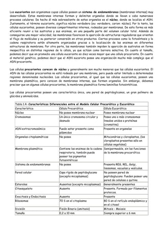 Los eucariontes son organismos cuyas células poseen un sistema de endomembranas (membranas internas) muy
desarrollado. Estas membranas internas forman y delimitan organelos donde se llevan a cabo numerosos
procesos celulares. De hecho él más sobresaliente de estos organelos es el núcleo, donde se localiza el ADN.
Justamente, el término eucarionte, significa núcleo verdadero (eu: verdadero, carion: núcleo). Por lo tanto, las
células eucariontes, poseen diversos compartimentos internos, rodeados por membranas. De esta forma es más
eficiente reunir a los sustratos y sus enzimas, en una pequeña parte del volumen celular total. Además de
conseguirse una mayor velocidad, las membranas favorecen la aparición de estructuras reguladoras que orientan
el flujo de moléculas y su posterior conversión en otros productos. Ciertos procesos como la fotosíntesis y la
cadena respiratoria están altamente organizados gracias a la localización de las enzimas en diferentes
estructuras de membrana. Por otra parte, las membranas también impiden la aparición de sustratos en forma
inespecífica en distintas regiones de la célula, ya que actúan como barrera selectiva. En cuanto al tamaño,
podemos decir que en promedio una célula eucarionte es diez veces mayor que una célula procarionte. En cuanto
al material genético, podemos decir que el ADN eucariota posee una organización mucho más compleja que el
ADN procarionte.

Las células procariontes carecen de núcleo y generalmente son mucho menores que las células eucariontes. El
ADN de las células procariontes no está rodeado por una membrana, pero puede estar limitado a determinadas
regiones denominadas nucleoides. Las células procariontes, al igual que las células eucariontes, poseen una
membrana plasmática, pero carecen de membranas internas, que formen organelos. Sin embargo, debemos
precisar que en algunas células procariontes, la membrana plasmática forma laminillas fotosintéticas.

Las células procariontes poseen una característica única, una pared de peptidoglicanos, un gran polímero de
glúcidos y aminoácidos.

    Tabla 1.4- Características Diferenciales entre el Modelo Celular Procariótico y Eucariótico
    Característica                    Célula Procariótica                Célula Eucariótica
    Núcleo                            No posee membrana nuclear          Posee membrana nuclear
    Cromosomas                        Un único cromosoma circular y      Posee uno o más cromosomas
                                      desnudo                            lineales unidos a proteínas
                                                                         (cromatina)
    ADN extracromosómico              Puede estar presente como          Presente en organelas
                                      plásmidos
    Organelas citoplasmáticas         No posee                           Mitocondrias y cloroplastos, (los
                                                                         cloroplastos presentes sólo en
                                                                         células vegetales)
    Membrana plasmática               Contiene las enzimas de la cadena Semipermeable, sin las funciones
                                      respiratoria, también puede       de la membrana procariótica
                                      poseer los pigmentos
                                      fotosintéticos
    Sistema de endomembranas          No posee                           Presenta REG, REL, Golgi,
                                                                         lisosomas, vacuolas y vesículas.
    Pared celular                     Capa rígida de peptidoglucano      No poseen pared de
                                      (excepto micoplasmas)              peptidoglucano. Pueden poseer una
                                                                         pared de celulosa o quitina
    Esteroles                         Ausentes (excepto micoplasmas)     Generalmente presentes
    Citoesqueleto                     Ausente                            Presente. Formado por filamentos
                                                                         proteicos.
    Exocitosis y Endocitosis          Ausente                            Presente
    Ribosomas                         70 S en el citoplasma              80 S en el retículo endoplásmico y
                                                                         en el citosol
    División                          Fisión Binaria (amitosis)          Mitosis - Meiosis
    Tamaño                            0,2 a 10 mm                        Siempre superior a 6 mm
 