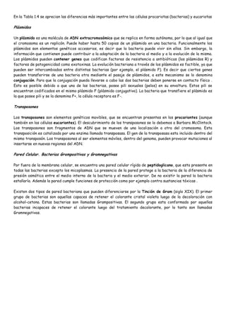 En la Tabla 1.4 se aprecian las diferencias más importantes entre las células procariotas (bacterias) y eucariotas

Plásmidos

Un plásmido es una molécula de ADN extracromosómico que se replica en forma autónoma, por lo que al igual que
el cromosoma es un replicón. Puede haber hasta 50 copias de un plásmido en una bacteria. Funcionalmente los
plásmidos son elementos genéticos accesorios, es decir que la bacteria puede vivir sin ellos. Sin embargo, la
información que contienen puede contribuir a la adaptación de la bacteria al medio y a la evolución de la misma.
Los plásmidos pueden contener genes que codifican factores de resistencia a antibióticos (los plásmidos R) y
factores de patogenicidad como exotoxinas. La evolución bacteriana a través de los plásmidos es factible, ya que
pueden ser intercambiados entre distintas bacterias (por ejemplo, el plásmido F). Es decir que ciertos genes
pueden transferirse de una bacteria otra mediante el pasaje de plásmidos, a este mecanismo se lo denomina
conjugación. Para que la conjugación pueda llevarse a cabo las dos bacterias deben ponerse en contacto físico .
Esto es posible debido a que una de las bacterias, posee pili sexuales (pelos) en su envoltura. Estos pili se
encuentran codificados en el mismo plásmido F (plásmido conjugativo). La bacteria que transfiere el plásmido es
la que posee pili y se la denomina F+, la célula receptora es F-.

Transposones

Los transposones son elementos genéticos movibles, que se encuentran presentes en los procariontes (aunque
también en las células eucariontes). El descubrimiento de los transposones se lo debemos a Barbara McClintock.
Los transposones son fragmentos de ADN que se mueven de una localización a otra del cromosoma. Esta
transposición es catalizada por una enzima llamada transposasa. El gen de la transposasa esta incluido dentro del
mismo transposón. Los transposones al ser elementos móviles, dentro del genoma, pueden provocar mutaciones al
insertarse en nuevas regiones del ADN.

Pared Celular. Bacterias Grampositivas y Gramnegativas

Por fuera de la membrana celular, se encuentra una pared celular rígida de peptidoglicano, que esta presente en
todas las bacterias excepto los micoplasmas. La presencia de la pared protege a la bacteria de la diferencia de
presión osmótica entre el medio interno de la bacteria y el medio exterior. De no existir la pared la bacteria
estallaría. Además la pared cumple funciones de protección como por ejemplo contra sustancias tóxicas .

Existen dos tipos de pared bacteriana que pueden diferenciarse por la Tinción de Gram (siglo XIX). El primer
grupo de bacterias son aquellas capaces de retener el colorante cristal violeta luego de la decoloración con
alcohol-cetona. Estas bacterias son llamadas Grampositivas. El segundo grupo esta conformado por aquellas
bacterias incapaces de retener el colorante luego del tratamiento decolorante, por lo tanto son llamadas
Gramnegativas.
 