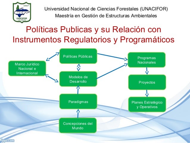 Estudio Introductorio A Las Políticas Públicas
