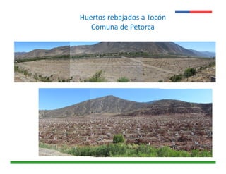 Presentación 
Institucional 
Huertos rebajados a Tocón 
Instituto de 
Investigaciones 
Agropecuarias - INIA 
Comuna de Petorca 
 