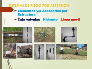 Modulo De Riega Introducción al Módulo de Riego Tecnificado.pptx