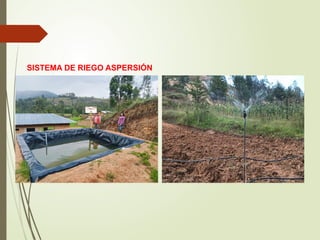 Modulo De Riega Introducción al Módulo de Riego Tecnificado.pptx