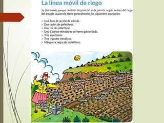 Modulo De Riega Introducción al Módulo de Riego Tecnificado.pptx
