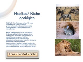 Habitad/ Nicho
ecológico
Habitad : Es el albergue natural de cada
organismo = el lugar que habita
preferentemente y donde encuentra las
condiciones más favorables para vivir y
reproducirse.
Nicho Ecológico: Posición de una especie
(individuo, población) en el espacio, en el
tiempo y sus relaciones funcionales con la
comunidad que ocupa ese hábitat,
determinados por su Distribución y
abundancia, este concepto describe cómo y no
sólo donde vive un organismo.
Es un atributo fenotípico (conductual) de un
individuo o población y varía según cambien los
recursos empleados. No existen nichos vacíos.
 