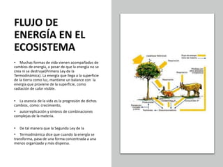 FLUJO DE
ENERGÍA EN EL
ECOSISTEMA
• Muchas formas de vida vienen acompañadas de
cambios de energía, a pesar de que la energía no se
crea ni se destruye(Primera Ley de la
Termodinámica). La energía que llega a la superficie
de la tierra como luz, mantiene un balance con la
energía que proviene de la superficie, como
radiación de calor visible.
• La esencia de la vida es la progresión de dichos
cambios, como: crecimiento,
• autorreplicación y síntesis de combinaciones
complejas de la materia.
• De tal manera que la Segunda Ley de la
• Termodinámica dice que cuando la energía se
transforma, pasa de una forma concentrada a una
menos organizada y más dispersa.
 
