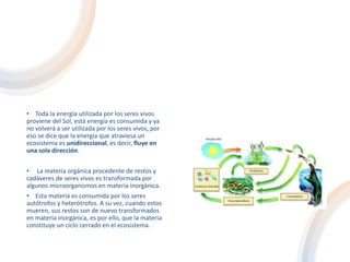 • Toda la energía utilizada por los seres vivos
proviene del Sol, está energía es consumida y ya
no volverá a ser utilizada por los seres vivos, por
eso se dice que la energía que atraviesa un
ecosistema es unidireccional, es decir, fluye en
una sola dirección.
• La materia orgánica procedente de restos y
cadáveres de seres vivos es transformada por
algunos microorganismos en materia inorgánica.
• Esta materia es consumida por los seres
autótrofos y heterótrofos. A su vez, cuando estos
mueren, sus restos son de nuevo transformados
en materia inorgánica, es por ello, que la materia
constituye un ciclo cerrado en el ecosistema.
 