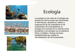Ecología
La ecología es una rama de la biología que
estudia las interacciones que determinan
la distribución, abundancia, número y
organización de los organismos en los
ecosistemas. En otras palabras, la
ecología es el estudio de la relación entre
las plantas y los animales con su ambiente
físico y biológico. Incluye las leyes
fundamentales que regulan el
funcionamiento de los ecosistemas.
 