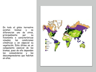 En todo el globo terrestre
existen biomas y se
diferencian uno de otros,
principalmente por su
fisionomía o características
visuales, las condiciones
climáticas y en especial su
vegetación. Esta última es un
componente esencial de los
biomas, pues de ella dependen
los consumidores y los
descomponedores que habitan
en ellos.
 