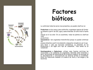 Factores
bióticos.
Lo conforman todos los seres vivos presentes y se pueden clasificar en:
Productores: se les conoce como autótrofos, organismos capaces de formar
su alimento a partir de CO2, agua y sales minerales. En este nivel la fuente
de
energía es la luz solar. En un ecosistema, todas las plantas se clasifican
como
productores.
Consumidores: Son organismos heterótrofos porque no pueden sintetizar
sus
propios alimentos a partir de solamente compuestos inorgánicos, por lo que
para llevar a cabo sus funciones metabólicas, se alimentan de los
productores o de algún otro tipo de consumidor. Todo animal es un
consumidor.
Desintegradores o Reductores: utilizan como fuentes nutritivas las
excreciones y los cadáveres de organismos, liberando sales minerales a
partir del proceso de mineralización de la materia orgánica; se encargan de
la descomposición y reincorporación de materias primas al ecosistema.
Entre los reductores tenemos a la lombriz de tierra, a los hongos y las
bacterias.
 