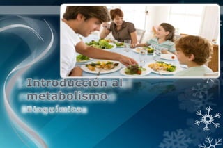 Introducción al metabolismo