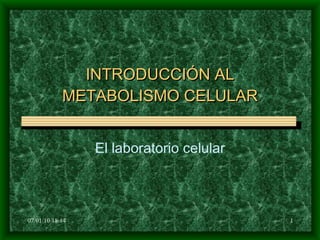 INTRODUCCIÓN AL METABOLISMO CELULAR El laboratorio celular 