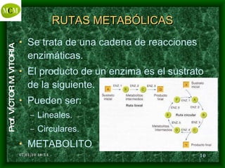 RUTAS METABÓLICAS Se trata de una cadena de reacciones enzimáticas. El producto de un enzima es el sustrato de la siguiente. Pueden ser: Lineales. Circulares. METABOLITO 