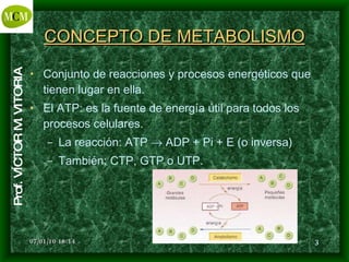 CONCEPTO DE METABOLISMO Conjunto de reacciones y procesos energéticos que tienen lugar en ella. El ATP: es la fuente de energía útil para todos los procesos celulares. La reacción: ATP    ADP + Pi + E (o inversa) También: CTP, GTP o UTP. 