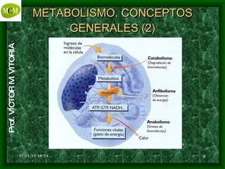 METABOLISMO. CONCEPTOS GENERALES (2) 