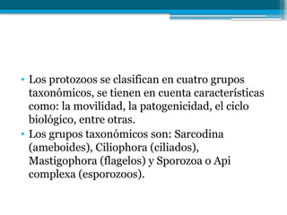 • Los protozoos se clasifican en cuatro grupos
taxonómicos, se tienen en cuenta características
como: la movilidad, la patogenicidad, el ciclo
biológico, entre otras.
• Los grupos taxonómicos son: Sarcodina
(ameboides), Ciliophora (ciliados),
Mastigophora (flagelos) y Sporozoa o Api
complexa (esporozoos).
 